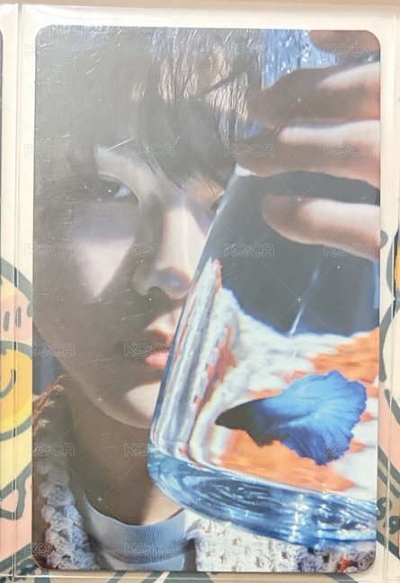 水瓶元
