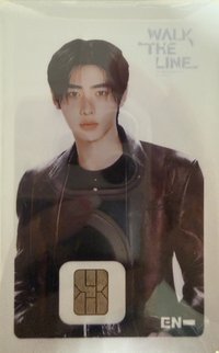 WTL世巡 NAMANE 交通卡 