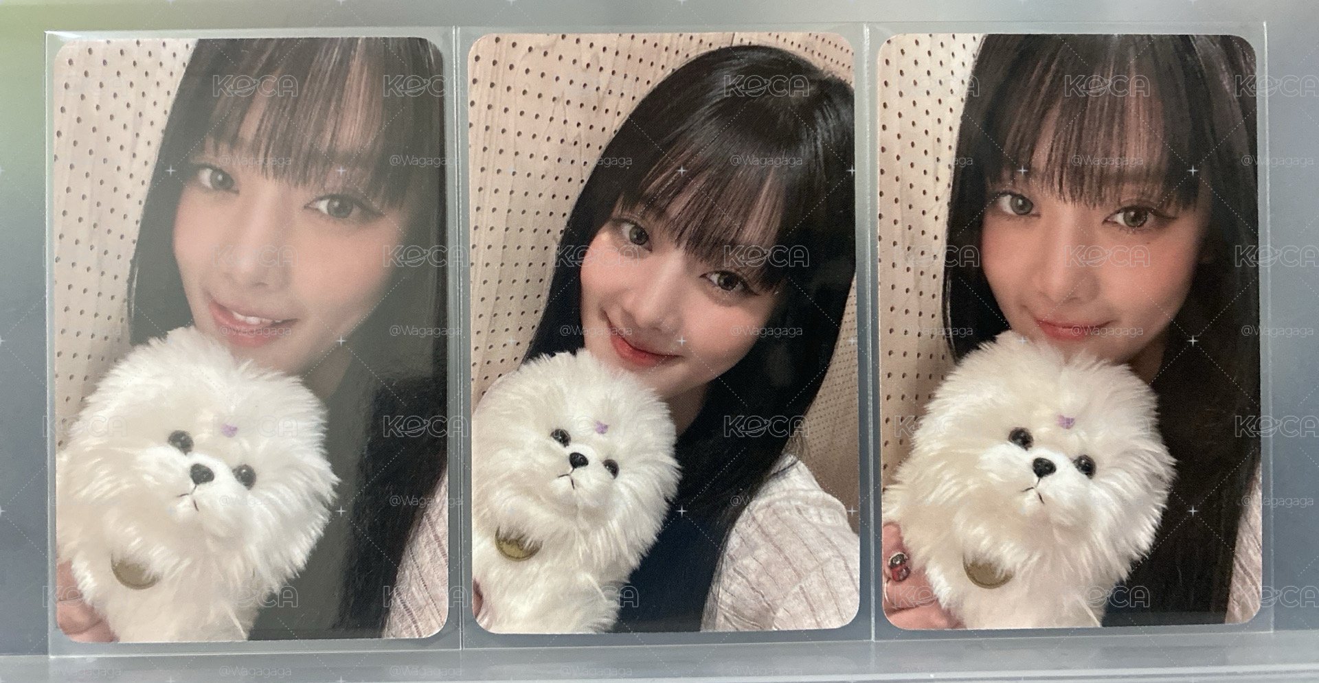 Minnie HER am2小狗 妮