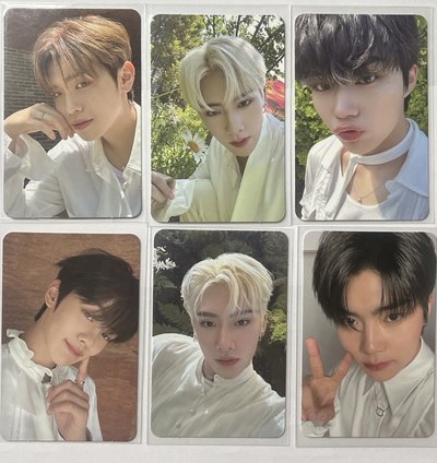 zb1 迷一專卡 SHADEver