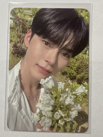 zb1 迷一專卡 SHADEver