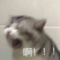 宬宬