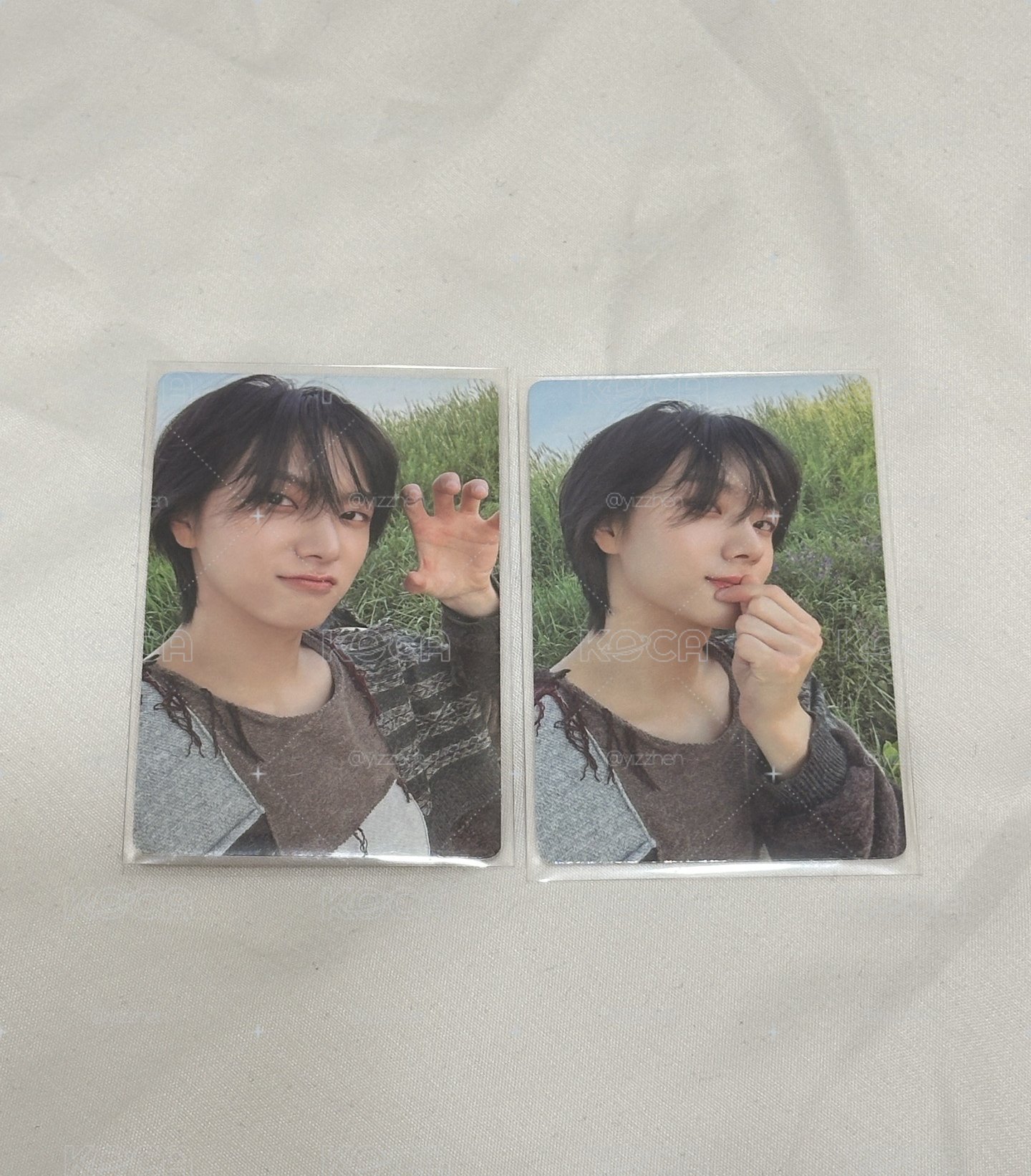 專卡 成淏🐱（兩張不拆）