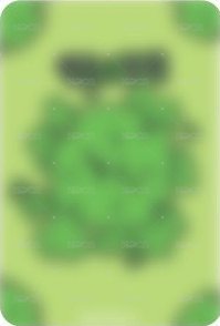 MINI2 br 線上 簽售卡 幸運草ver. 背面