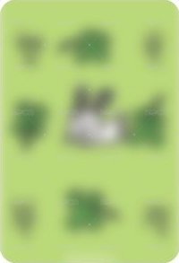 MINI2 br 線上 簽售卡 幸運草ver. 背面