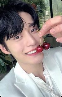 23'FC 隨機卡 櫻桃