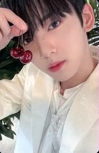 23'FC 隨機卡 櫻桃