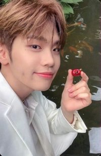 23'FC 隨機卡 櫻桃