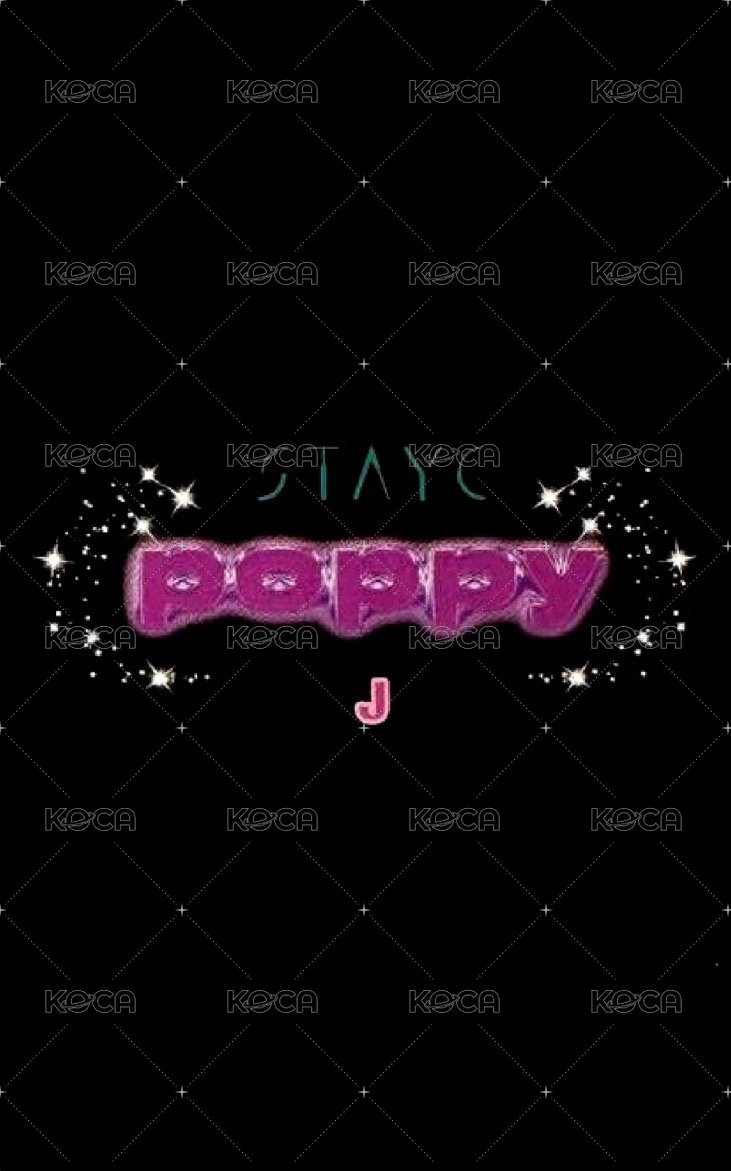 POPPY 塔店 bushiya 幸運卡  背面