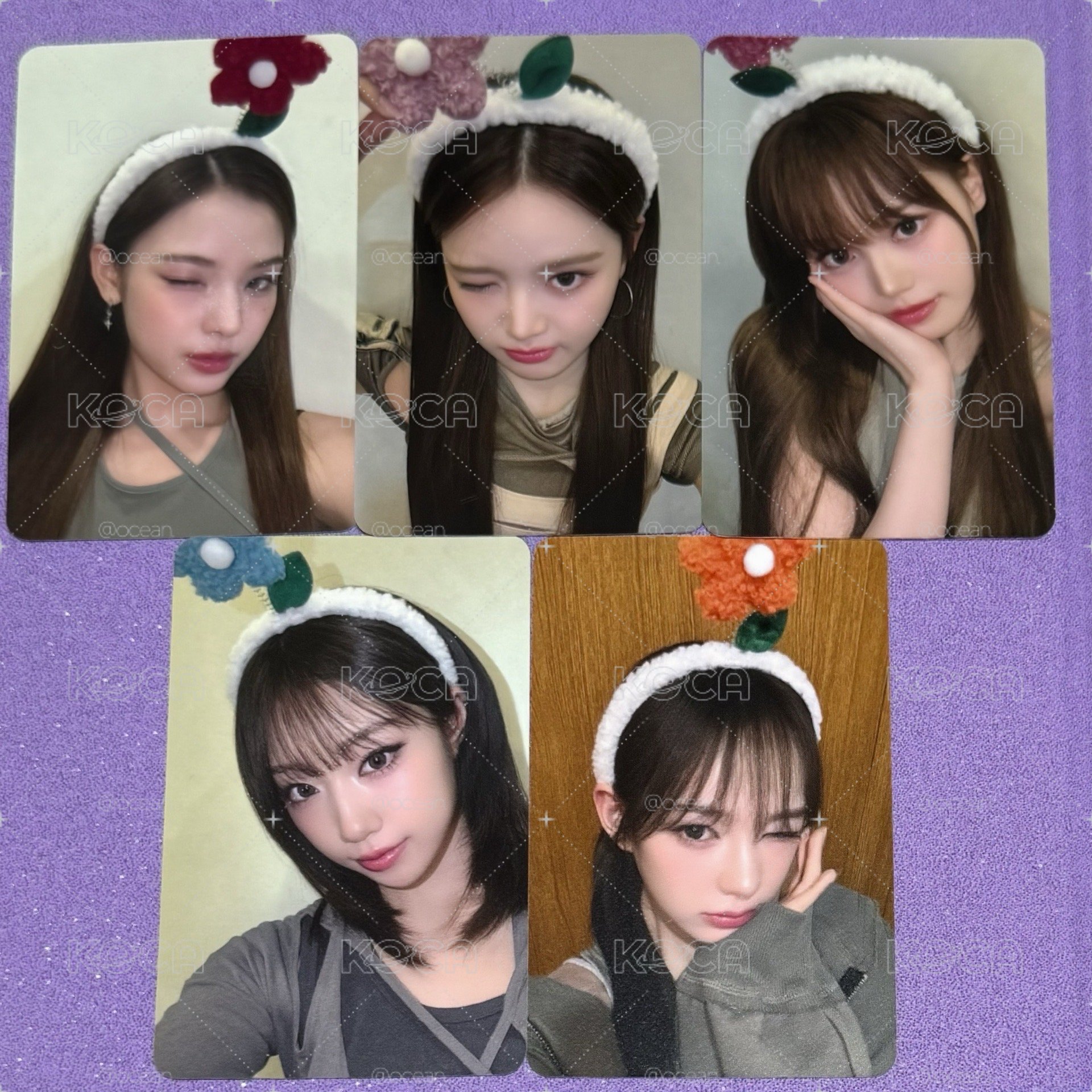 迷二 am 5.0