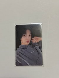 km蝦皮2.0小貓朴