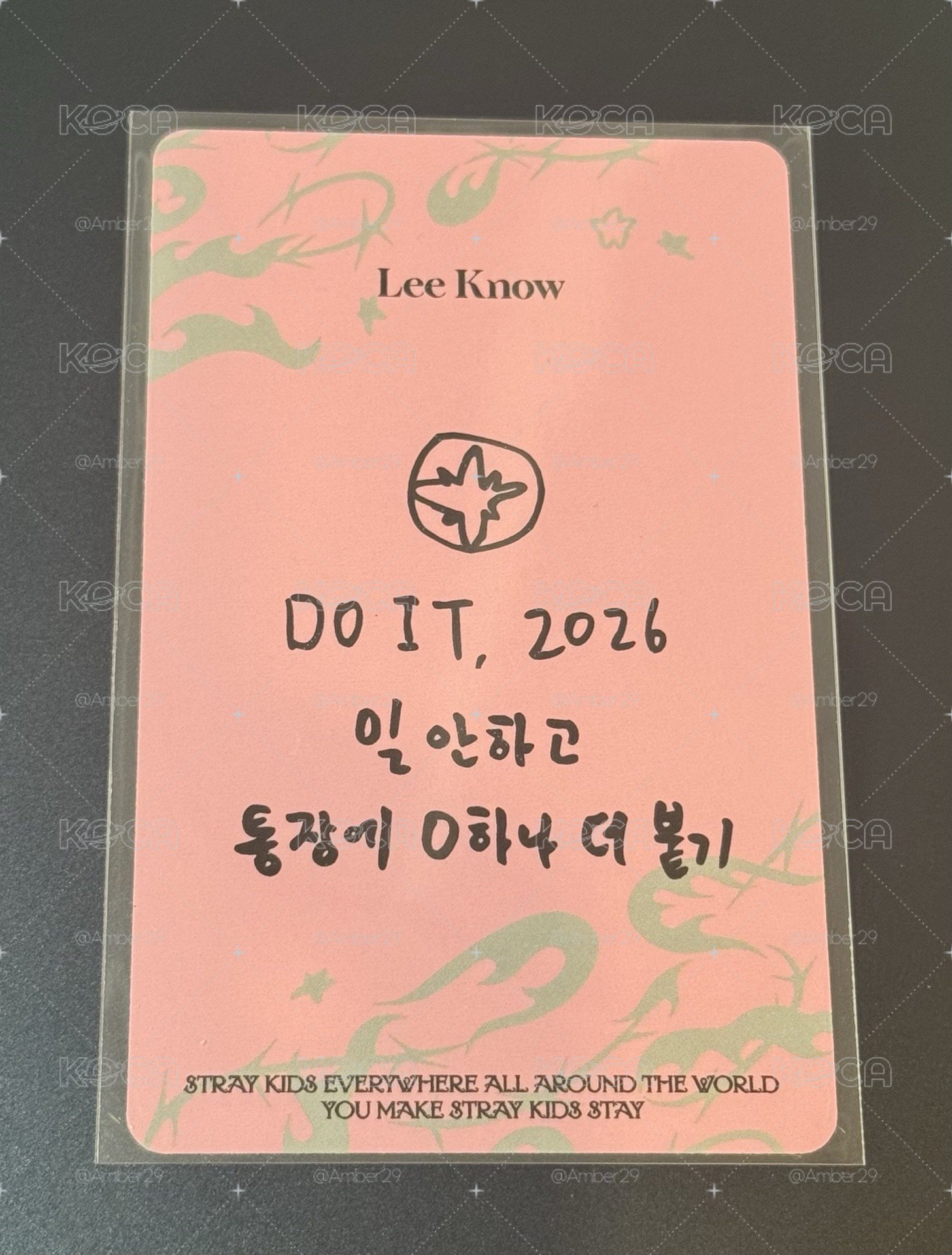Stray Kids Do it fans2.0 LD