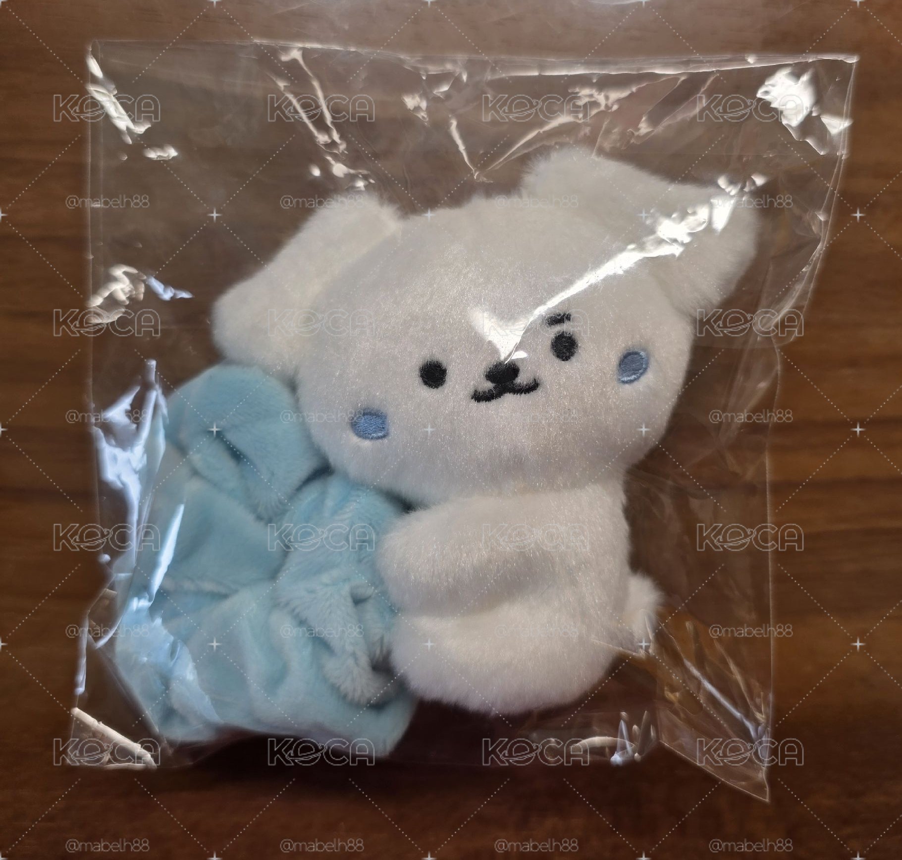 🐶大腸圈