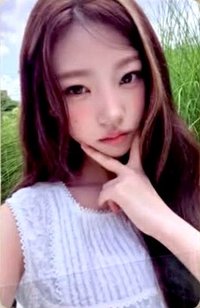 年曆2026 隨機卡 B版自拍