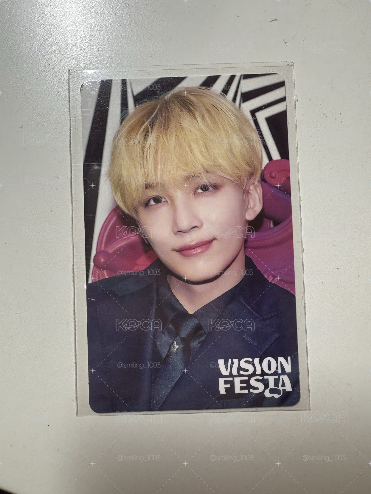 VISION FESTA 入場卡 淨漢