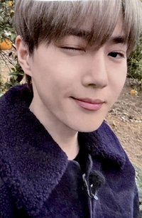 爬梯子5 周邊卡 袋子卡