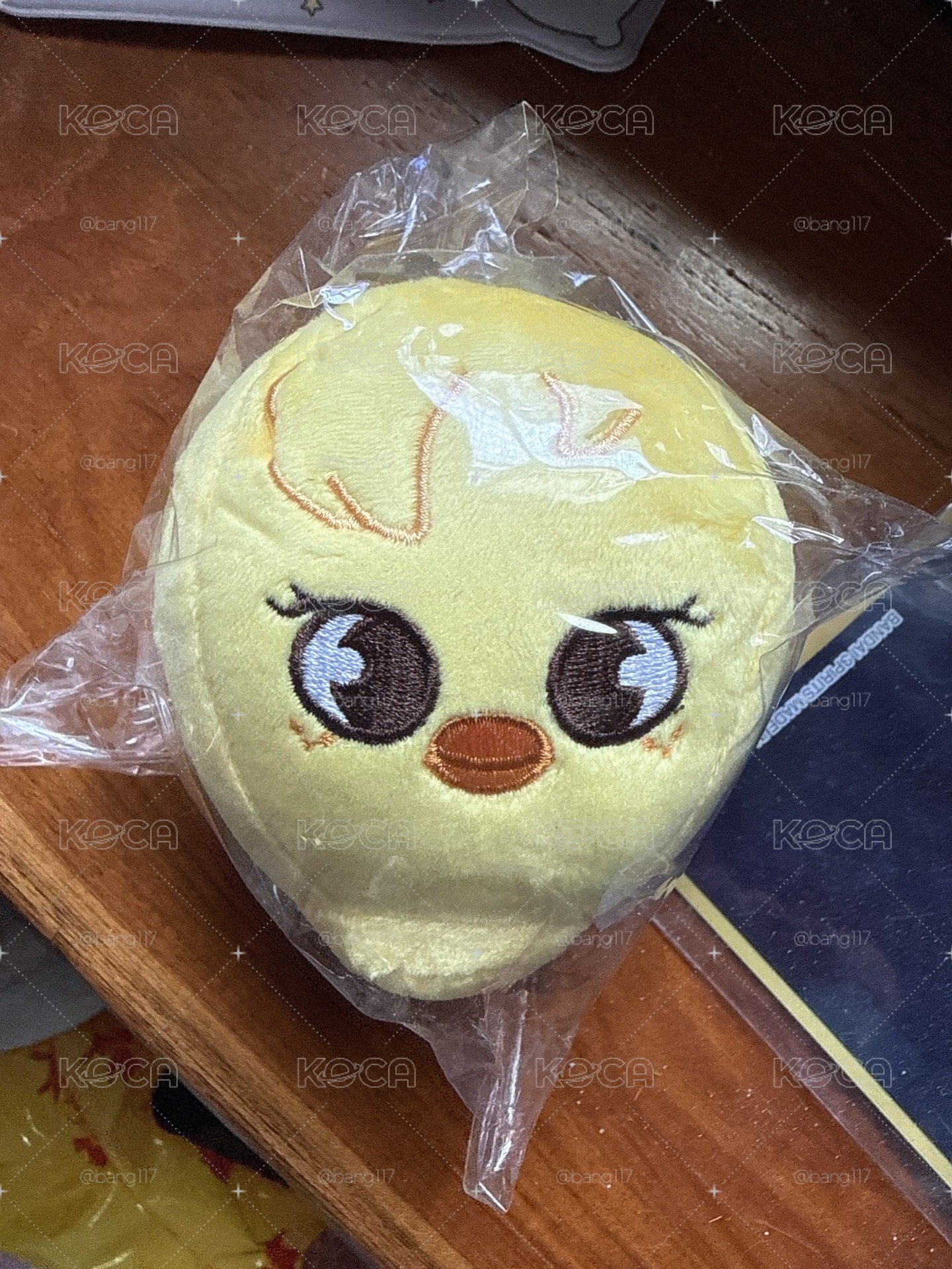 菲雞頭
