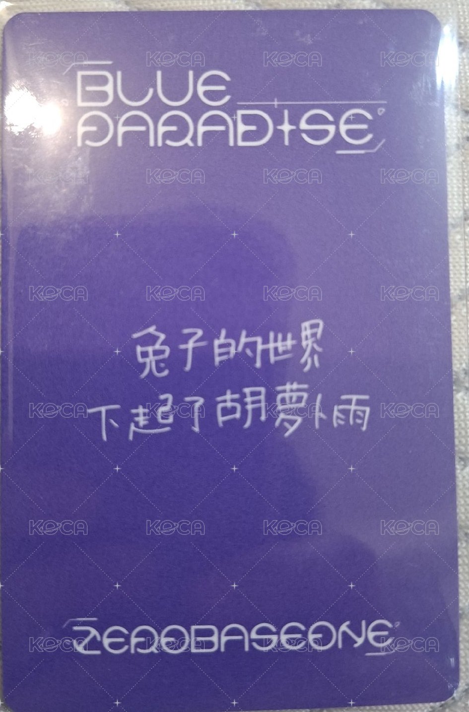 維辰中背