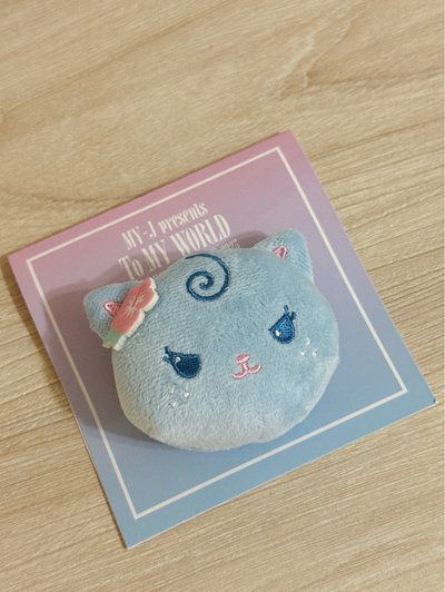 Fm髮夾Karina（無小卡，僅拆檢未使用）