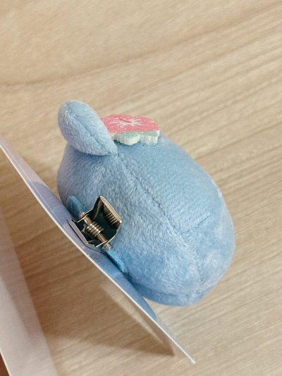 Fm髮夾Karina（無小卡，僅拆檢未使用）