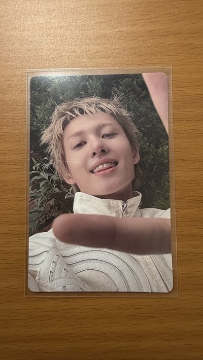 Cortis 美專通路/馬/訓