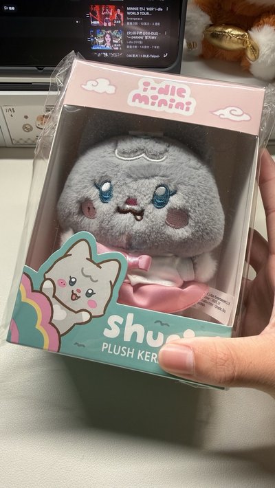 刷娃 桃園觀光大使卡