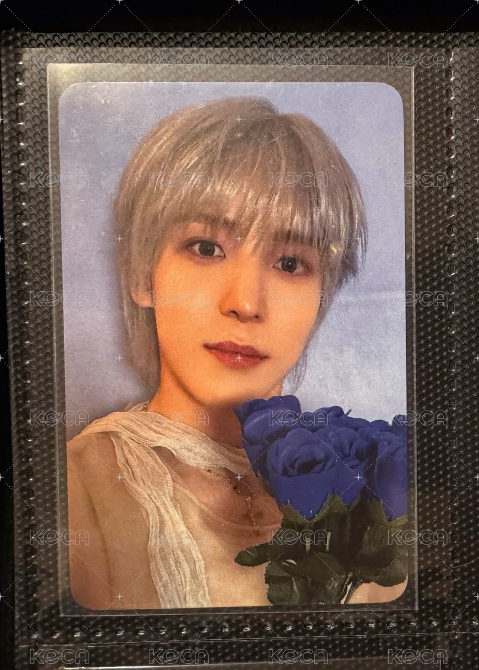 藍捧花潤浩單人