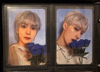 藍捧花大竹合售