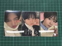 🌷🌳🦭am 4.0簽售卡