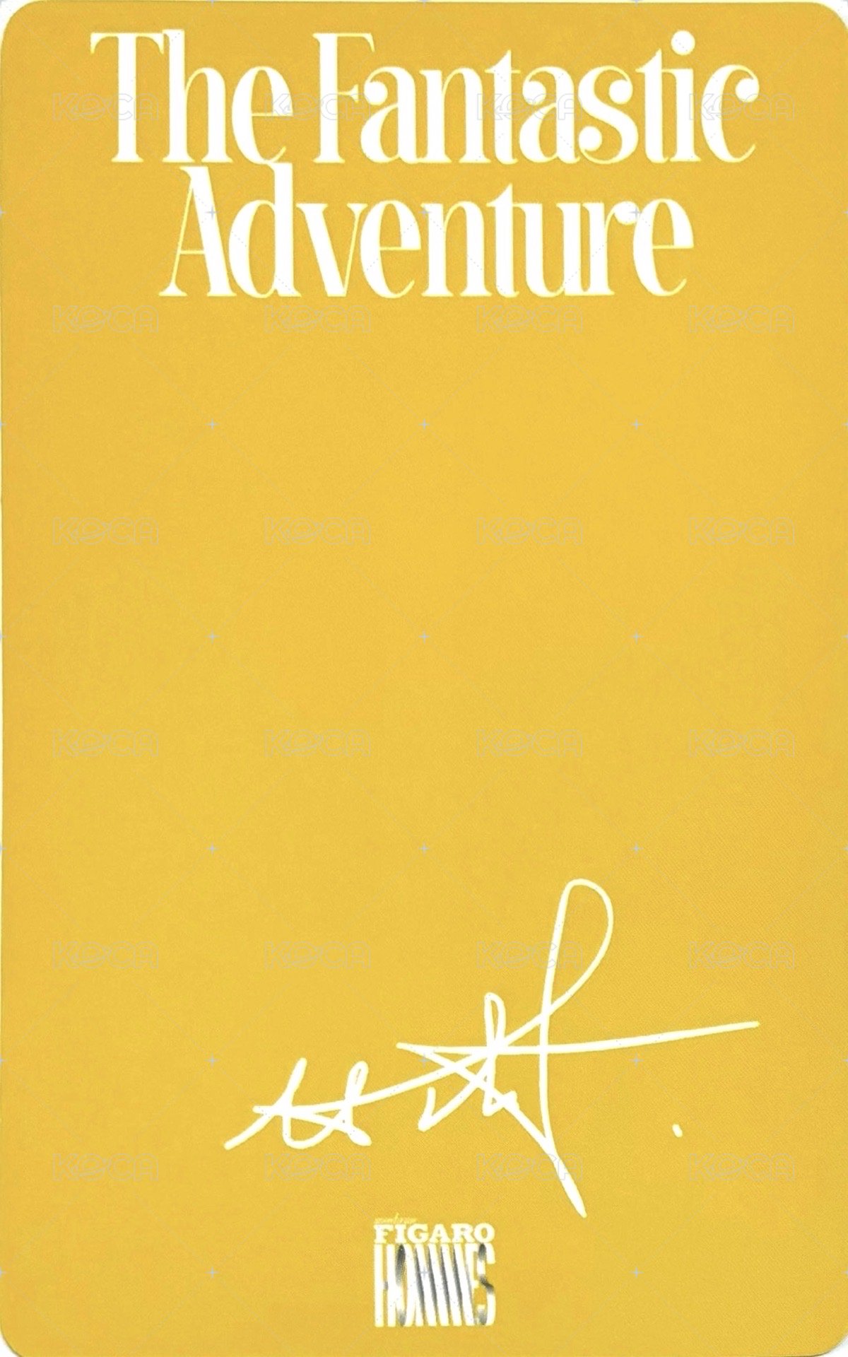 費加羅 1.0 雜誌卡  背面