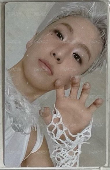 正五wvs特典卡