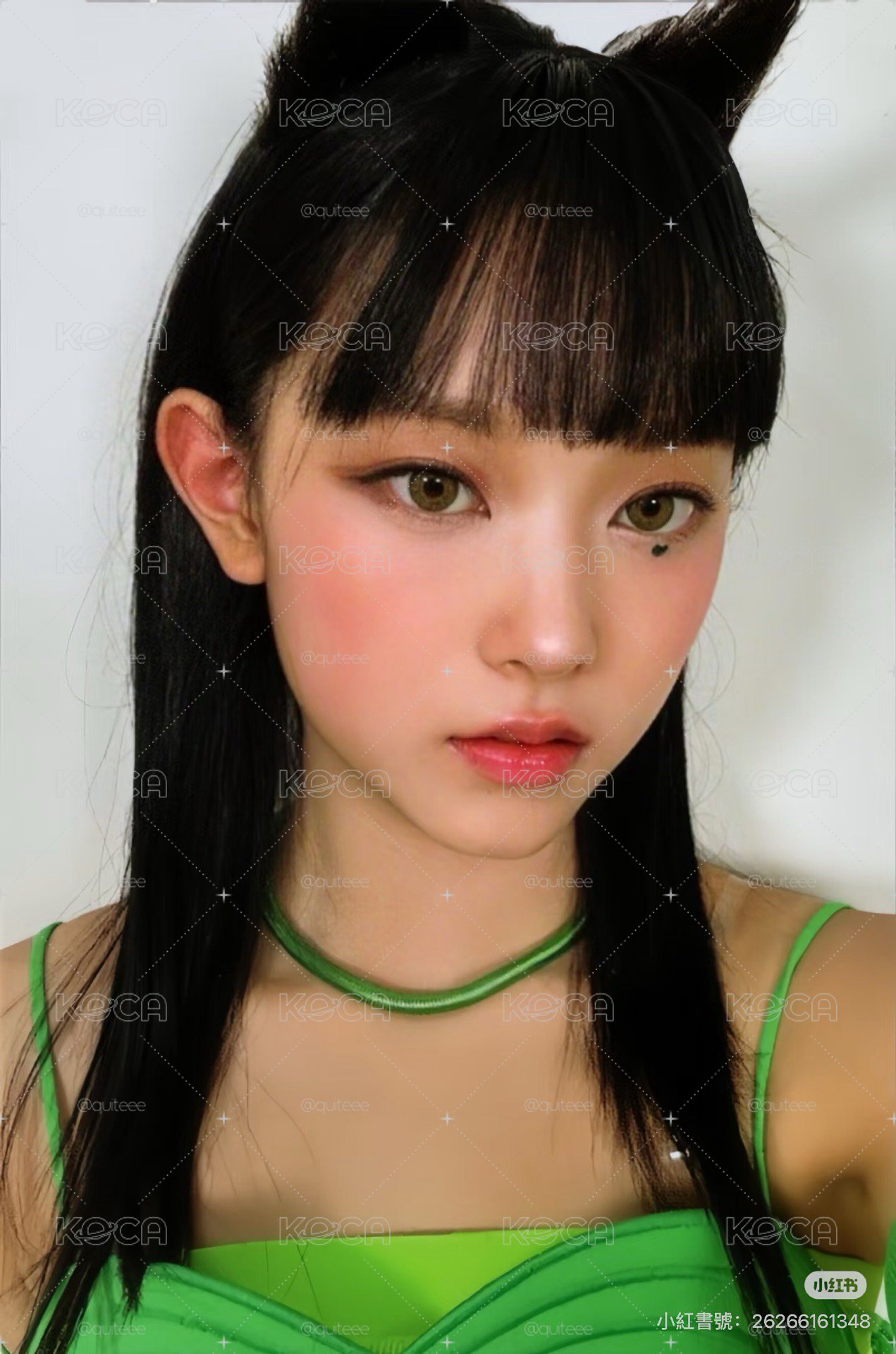 打歌5.0貓