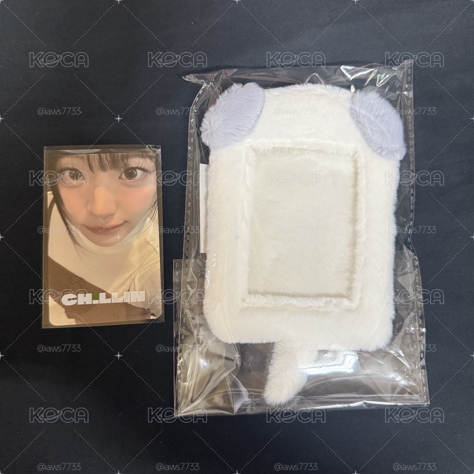 QWER 台北場 絨毛卡套含卡（現貨）