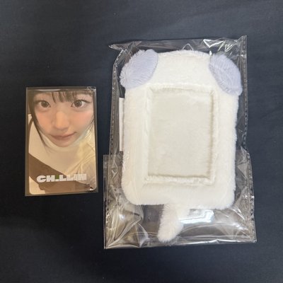 QWER 台北場 絨毛卡套含卡（現貨）