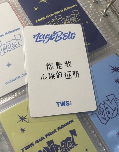 TWZ 志薫yzy中背