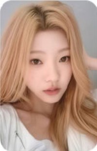 Focus sr 5.0 簽售卡 