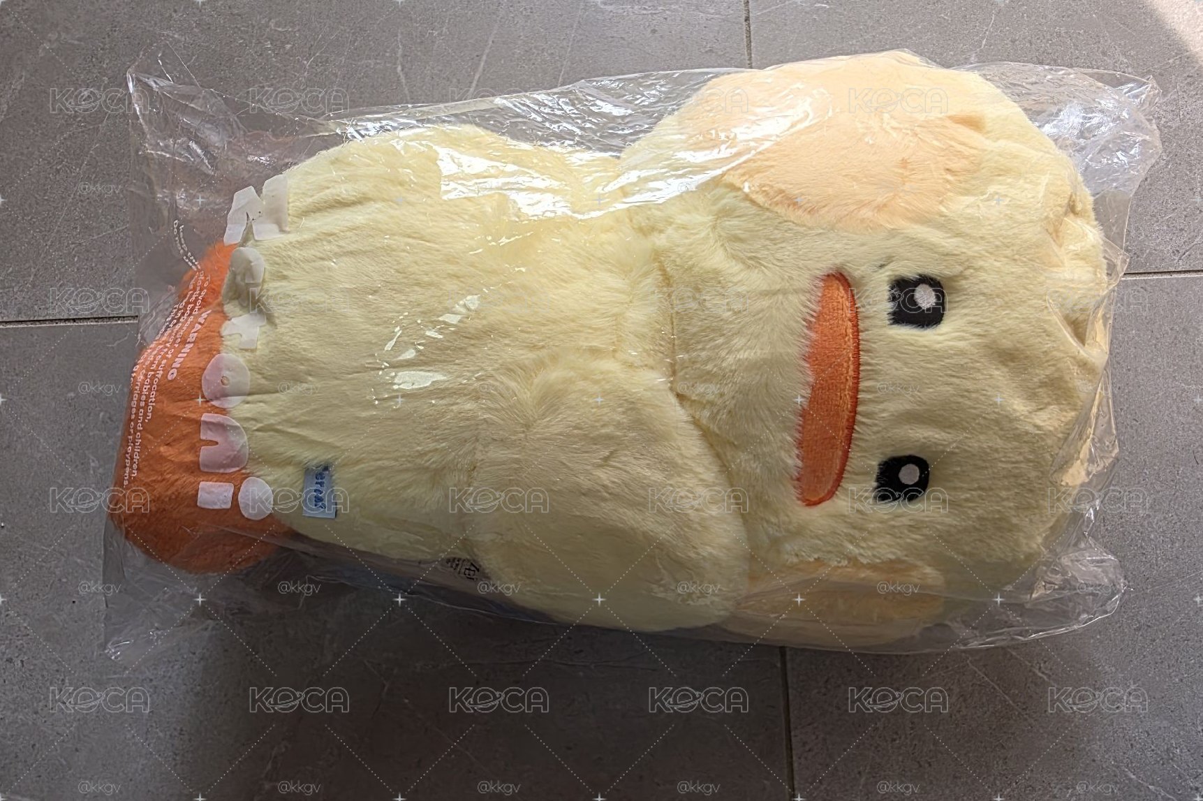 來背包娃