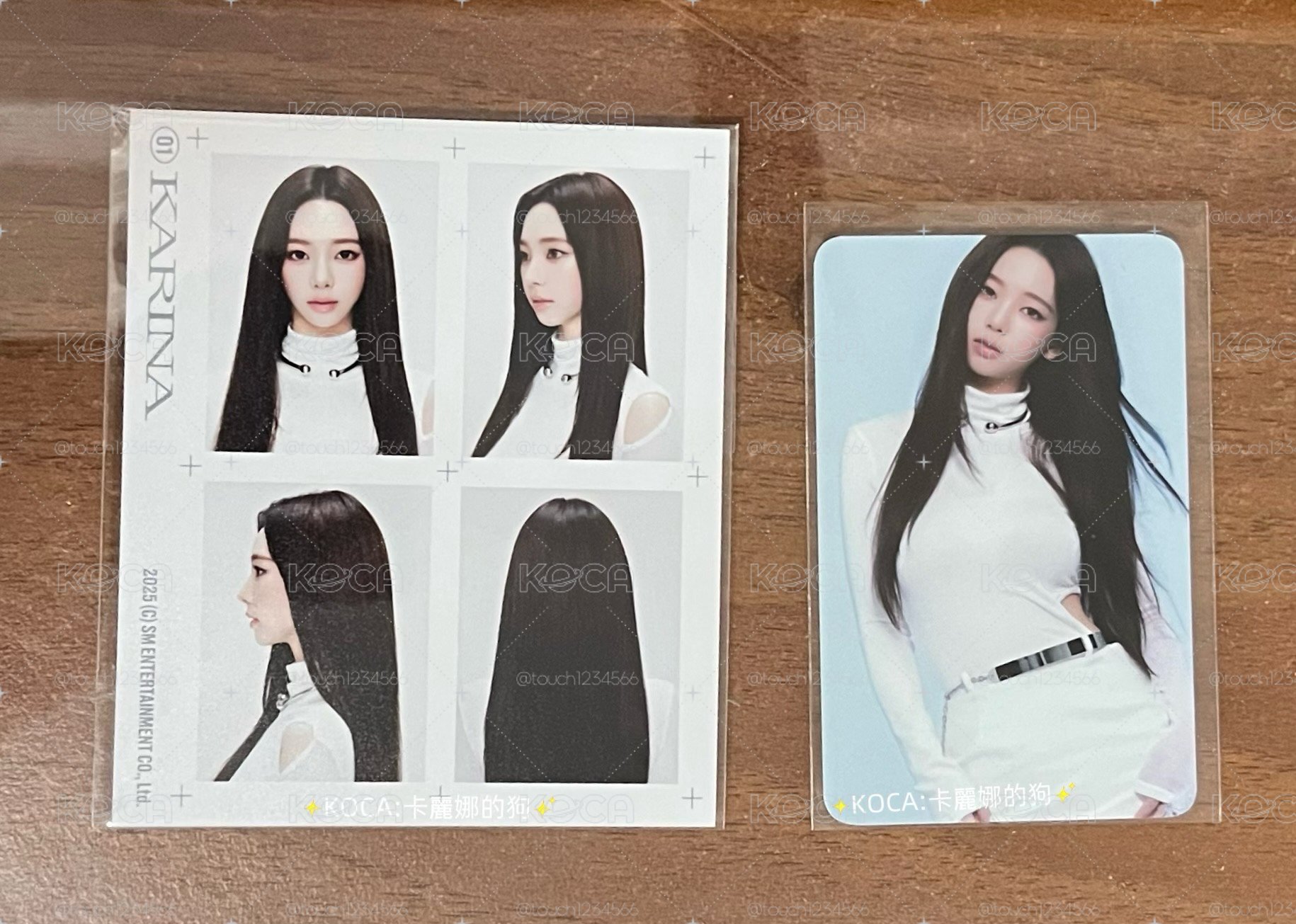 現貨｜aespa Karina 三巡卡冊周邊 僅證件照+小卡 $300/2