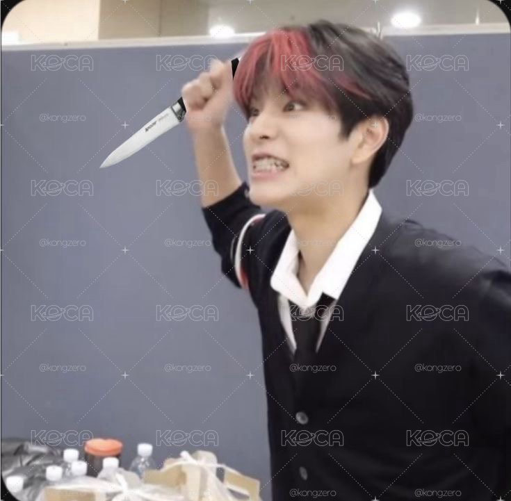 狗狗盤