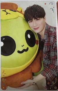 26年1月書展 隨機卡 