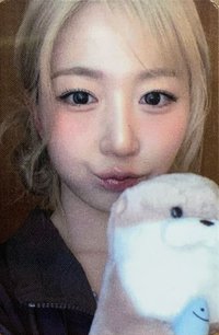 正規一 數星星 合影 6.0 簽售卡 獺獺抱抱 ver.