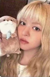 正規一 數星星 合影 6.0 簽售卡 獺獺抱抱 ver.