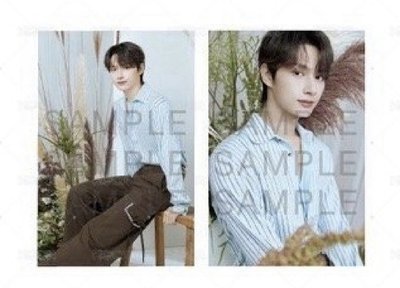 上海中籤八小盤