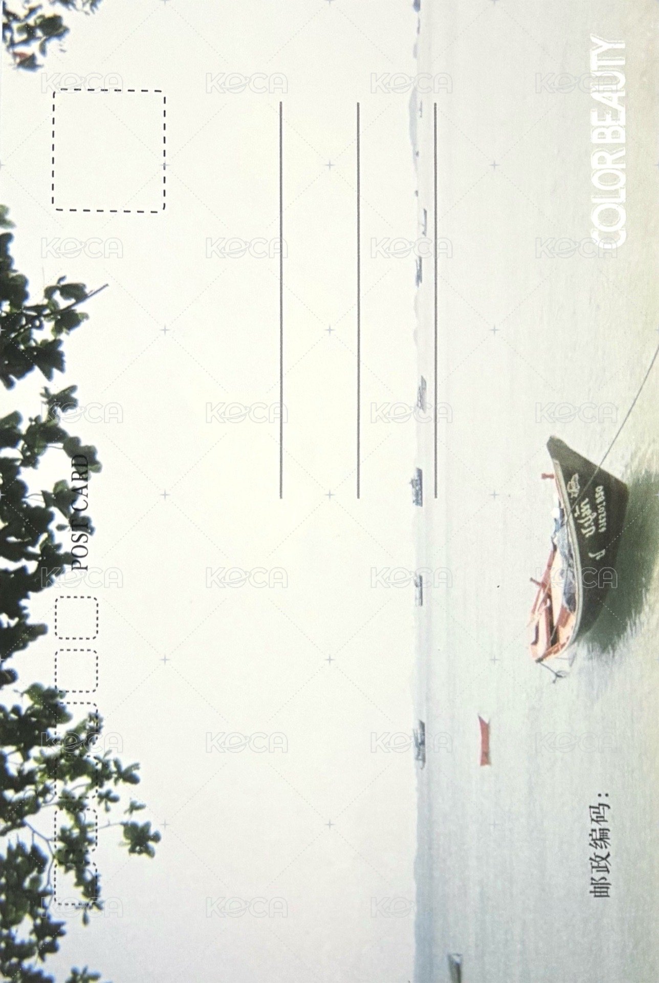 ColorBeauty熾彩 B版 明信片  背面