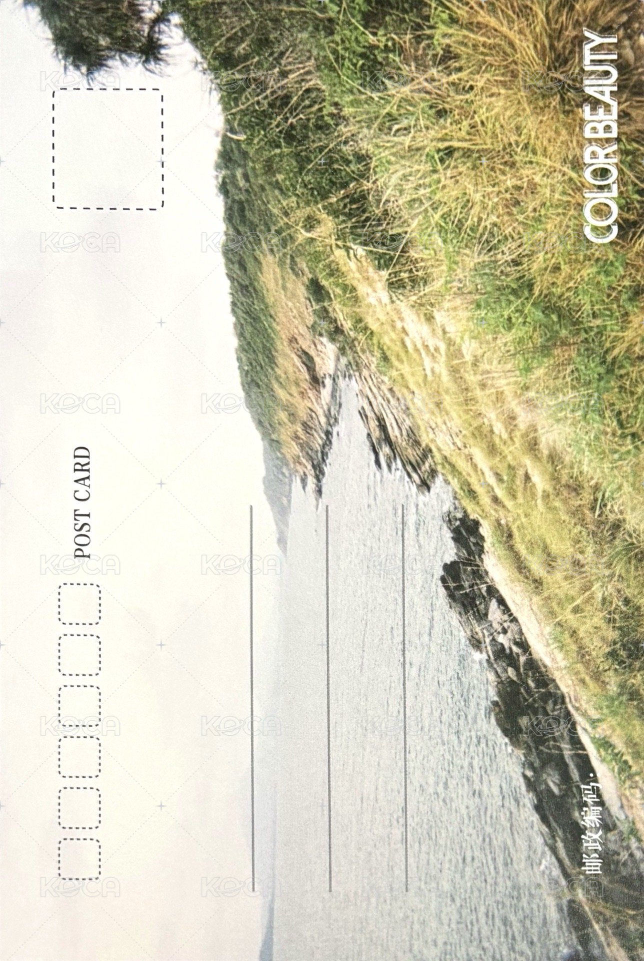 ColorBeauty熾彩 C版 明信片  背面