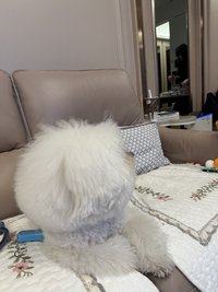 Andy