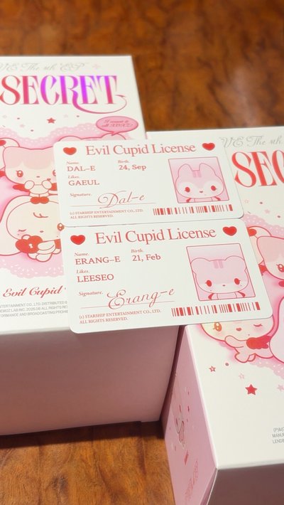 IVE 娃專 瑞、秋 全新未拆娃只看卡