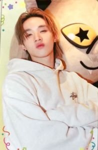 26年1月書展 隨機卡 