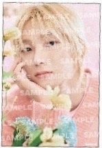 Sweet Lemonade 咖啡快閃 明信片 