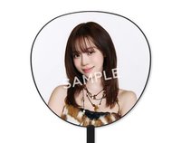 大王扇下單標注註成員